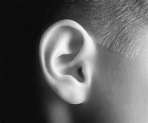 ear